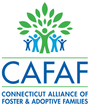 31st Annual CAFAF Conference